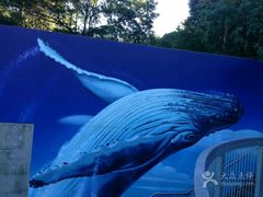 -悉尼海洋生物水族馆