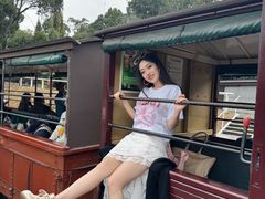 -普芬比利蒸汽火车