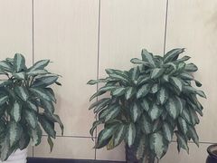 -摩音养生SPA(水湾店)