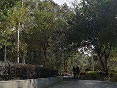 -仙岳公园