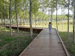 -东郊湿地公园