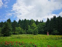 -武陵山森林公园
