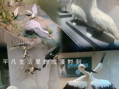 -天津自然博物馆