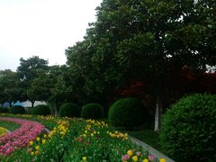 android_upload_pic-上海鲜花港
