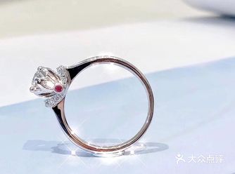 这款真爱加冕公主整体造型奢华高贵，它以欧洲贵族拉夫领