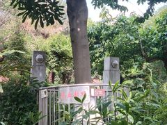 -广州神农草堂中医药博物馆