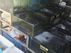 -蚝专家