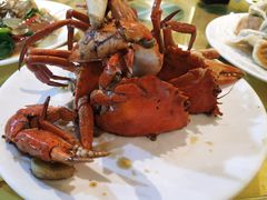 -莲花公园煎蟹(总店)