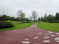 -两河城市森林公园