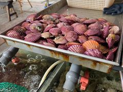 -东海金街市场