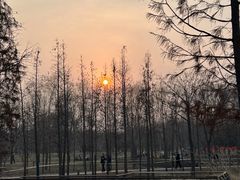 -北龙湖湿地公园
