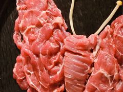 -阳坊涮肉(西直门凯德mall店)