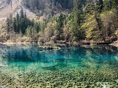 -乡土特色.冷锅鱼.牦牛肉汤锅