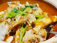 葱姜鱼头煲-衡山汇·高级粤菜(霄云路店)