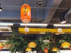 -成老灶火锅鸡(平山店)