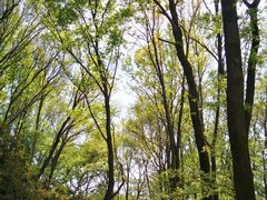 -紫霞湖公园