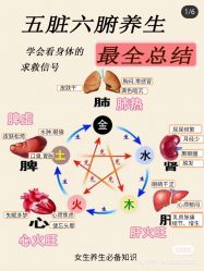 -香薇妮丝女子减肥院