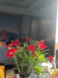 -馨月汇·独栋月子会所(静安店)