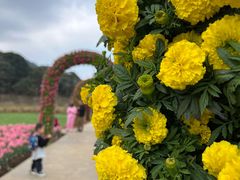 -广州市石门国家森林公园
