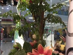 -茶颜悦色(银盆岭万达广场店)