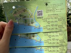 -合肥滨湖国家森林公园