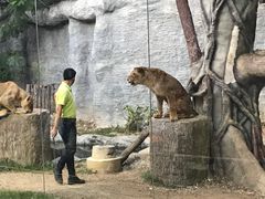 -清迈夜间动物园