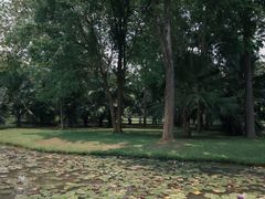 -中国科学院西双版纳热带植物园