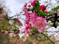 -成都杜甫草堂博物馆