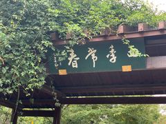 -鹅湖玫瑰文化园