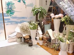 -蝶舍·MAISON PAPILLON