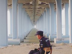 -宝安西湾红树林湿地公园