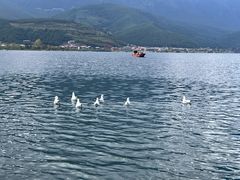 -丽江泸沽湖景区
