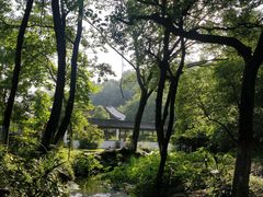 -杭州花家山庄
