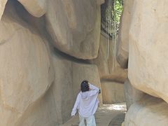 -南山植物园