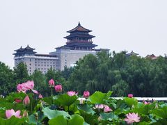 -莲花池公园