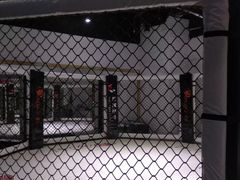 -成杰格斗·拳击·柔术·防身术(建设路店)