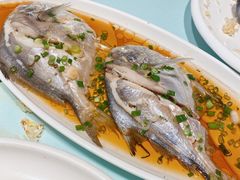 -高佳庄·舟山海鲜(海景旗舰店)