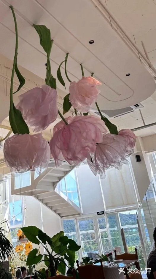 在中山拍到了人生照片✌️