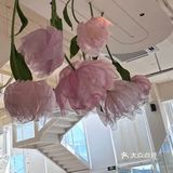 在中山拍到了人生照片✌️