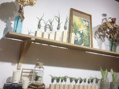 -素咫咖啡CLIFEROSE