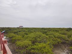 -北海金海湾红树林生态旅游区