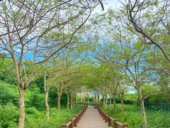 -涠洲岛火山国家地质公园