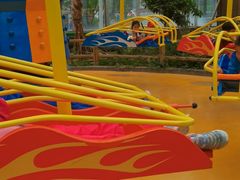 -南宫五洲植物乐园