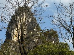 -南宁花花大世界景区