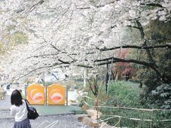 -杭州少年儿童公园