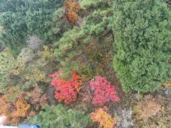 -香山公园