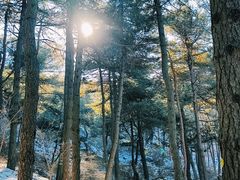 -鲁山国家森林公园