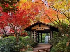 -康熙养生SPA·轻奢足道(江宁万达店)