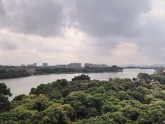 -东莞松山湖凯悦酒店