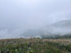 -白草畔自然风景区